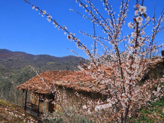 Casa en venta en Proaza, Asturias