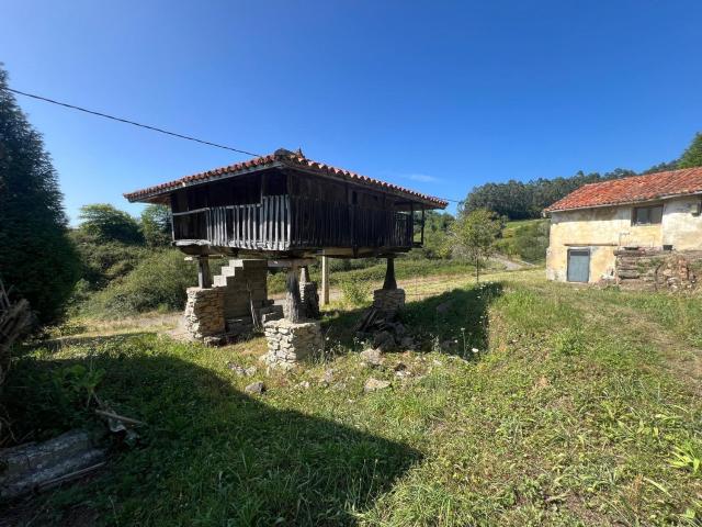Casa en venta en Soto Del Barco, Asturias
