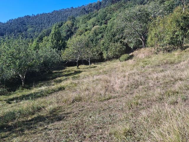 Terreno en venta en Villaviciosa, Asturias