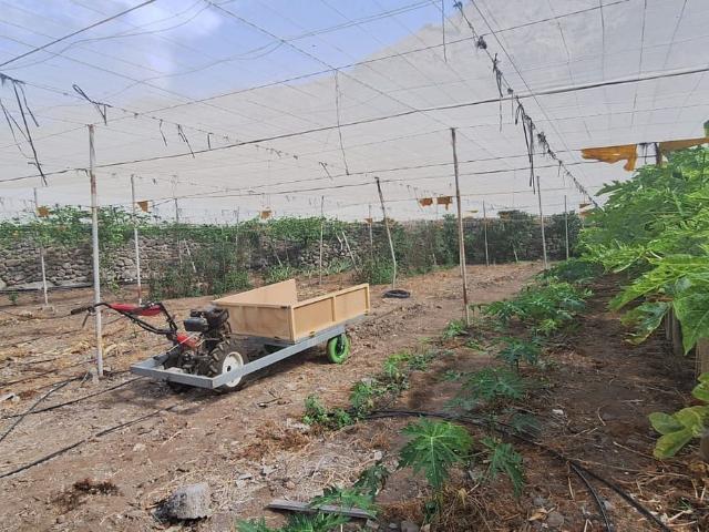 Terreno en venta en La Aldea de San Nicolás, Canarias
