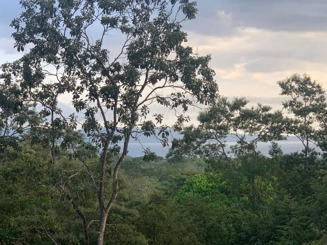 Terreno venta en Soná