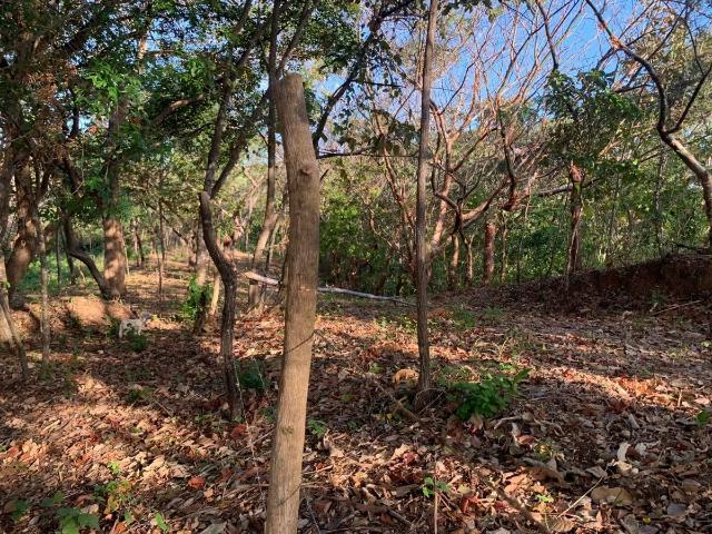 Terreno venta en Soná