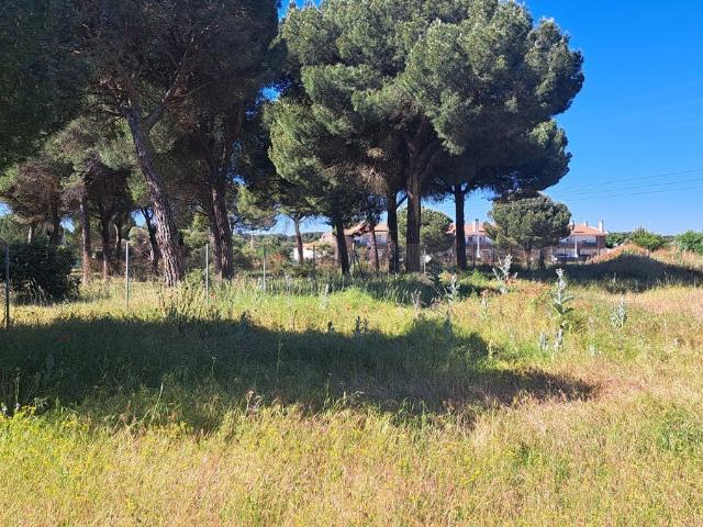 Terreno en venta en Herrera de Duero, Tudela De Duero