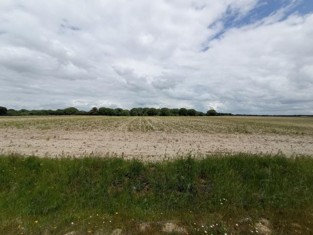 Terreno en venta en Matapozuelos, Castilla y León