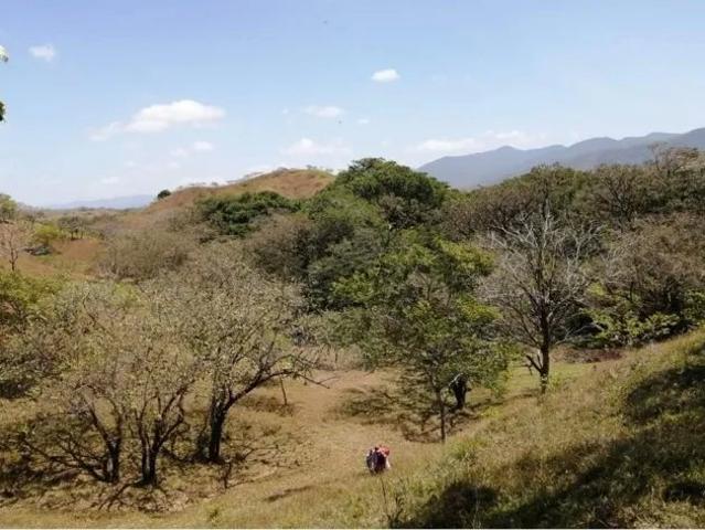 Terreno venta en Mariato