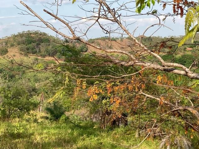 Terreno venta en Boca Chica, San Lorenzo