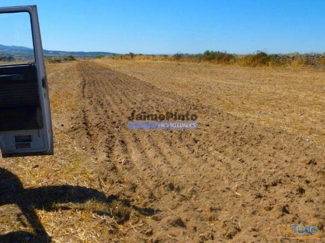 Terreno venda em Guarda, Figueira De Castelo Rodrigo