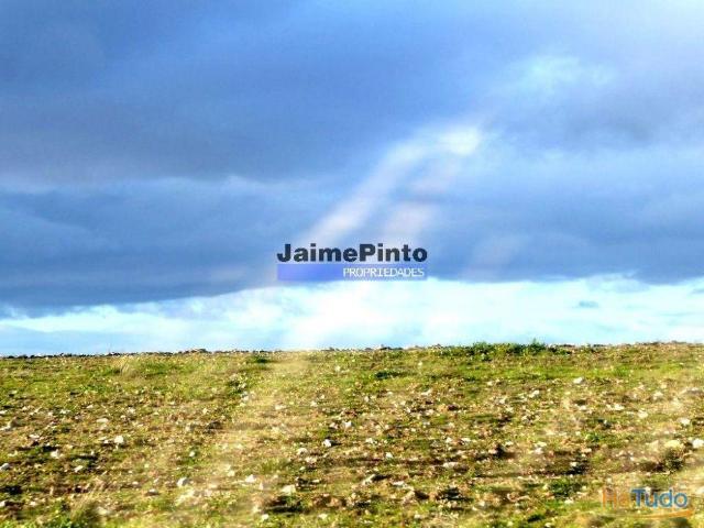 Terreno venda em Guarda, Figueira De Castelo Rodrigo