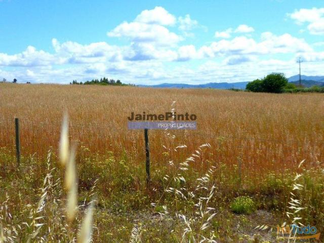 Terreno venda em Castelo Branco