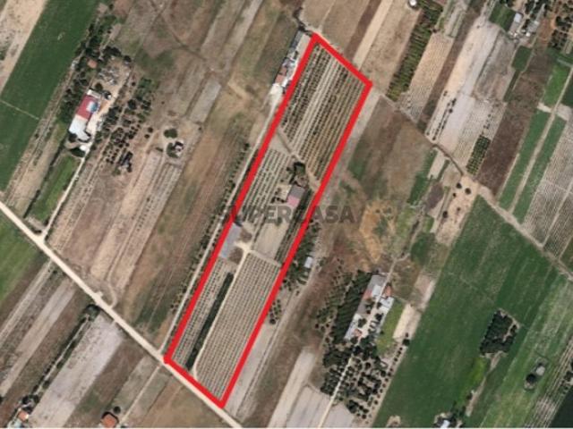 Terreno venda em Almeirim, Santarém