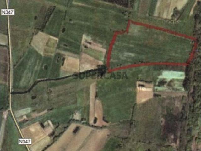 Terreno venda em Montemor-o-Velho e Gatões, Montemor-o-velho