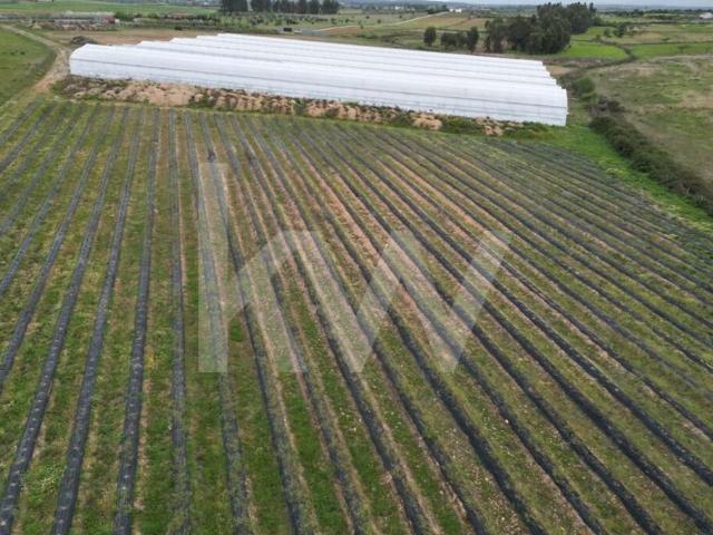 Terreno venda em Castelo Branco, Idanha-a-nova