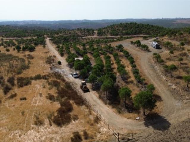 Terreno venda em Corte Tabelião, Faro