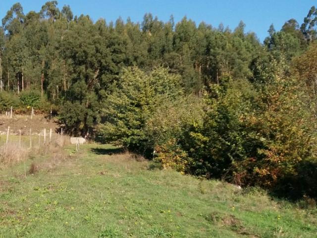 Terreno venda em Agra do Monte, Romarigães