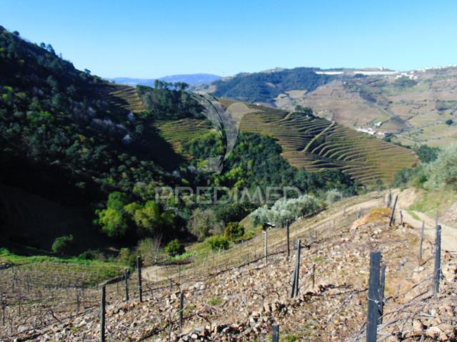 Terreno venda em Abaças, Vila Real