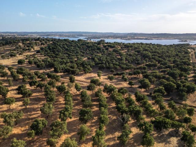 Terreno venda em Ourique, Beja