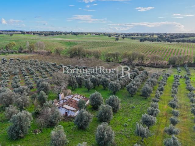 Quinta venda em Avis, Portalegre