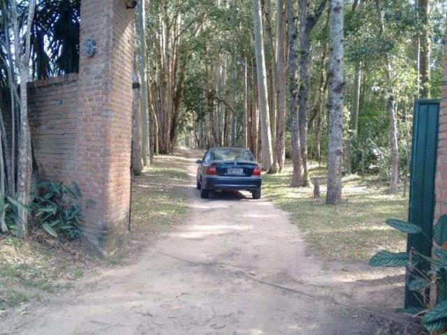 Sítio e chácara venda em Região Geográfica Imediata de Goiás - Itapuranga, Nova Crixás