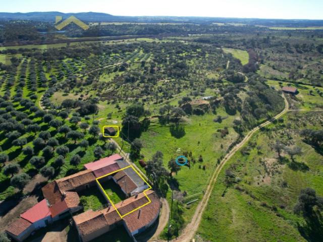 Quinta venda em Castelo Branco