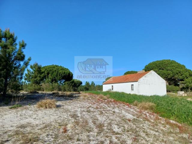 Terreno venda em Grândola e Santa Margarida da Serra, Grândola