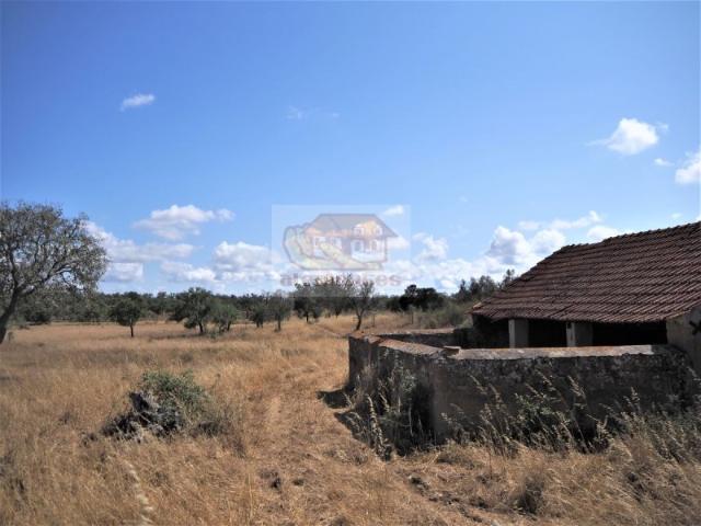 Terreno venda em Herdade de Ribeira Abaixo, Grândola
