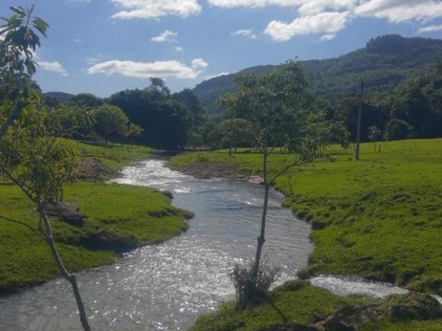 Sítio e chácara venda em Região Geográfica Imediata de Novo Hamburgo - São Leopoldo, Morro Reuter