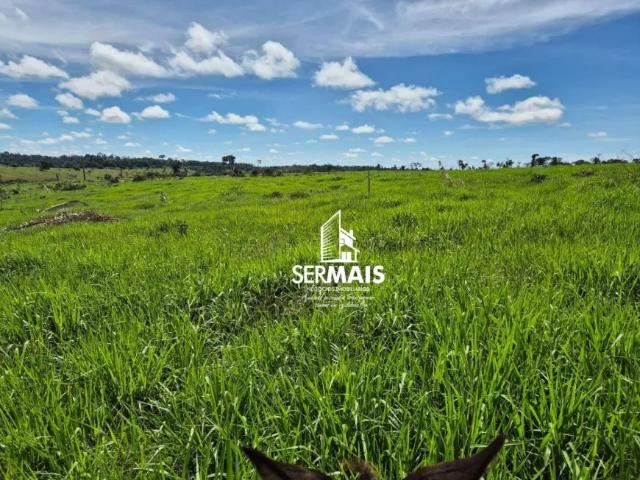 Fazenda venda em Machadinho d'Oeste, Região Norte