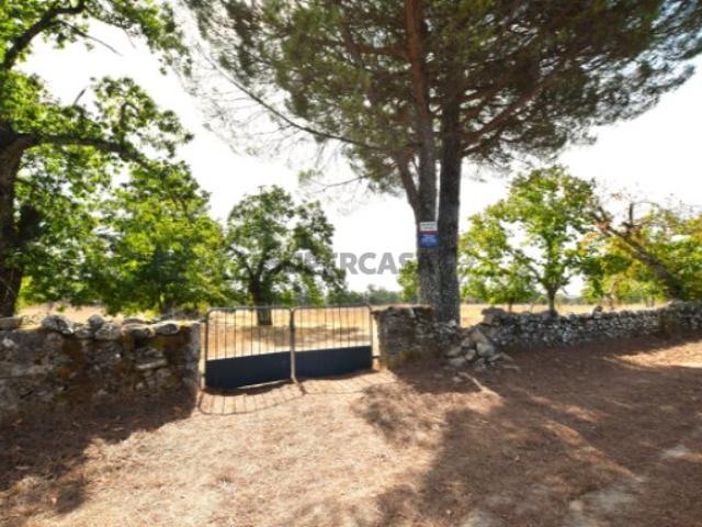 Terreno venda em São Salvador da Aramenha, Marvão