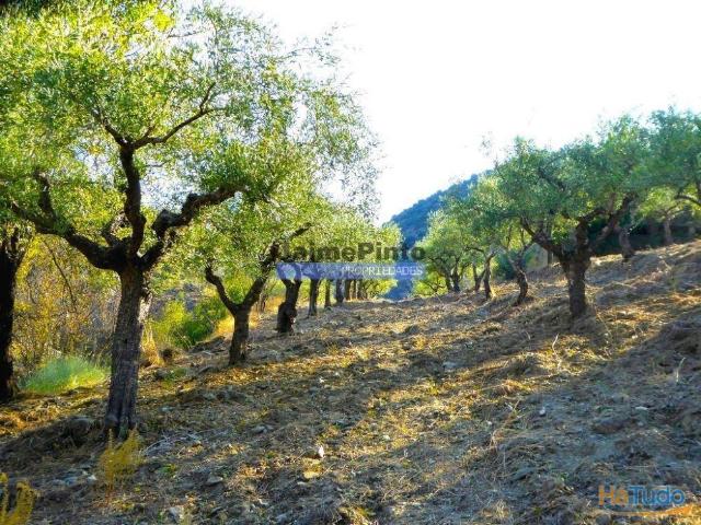 Terreno venda em Guarda, Figueira De Castelo Rodrigo
