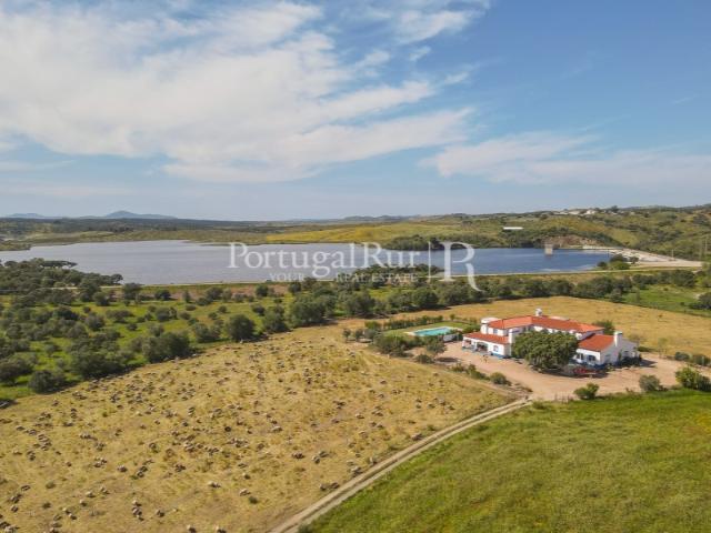 Quinta venda em São Pedro Terena, Évora