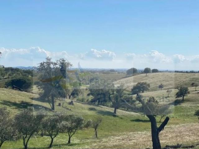 Terreno venda em Serpa, Beja