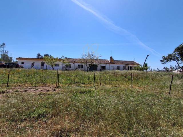 Quinta venda em Leiria