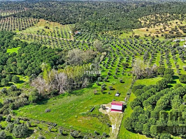 Quinta venda em Portel, Évora