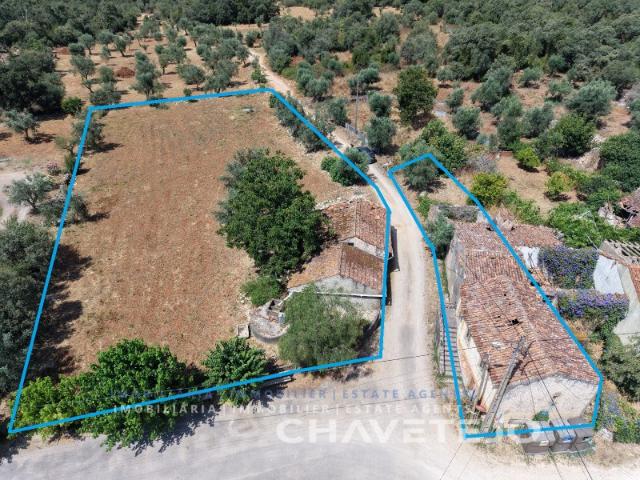 Casa venda em Avecasta, Rego Da Murta