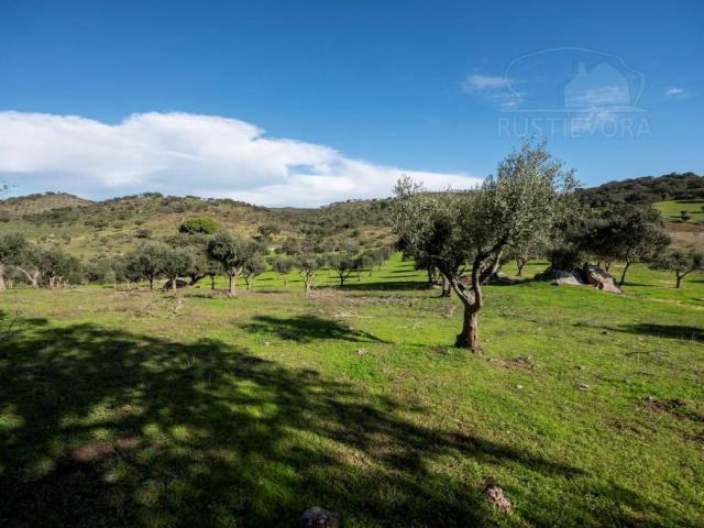 Vivenda venda em Vidigueira, Beja