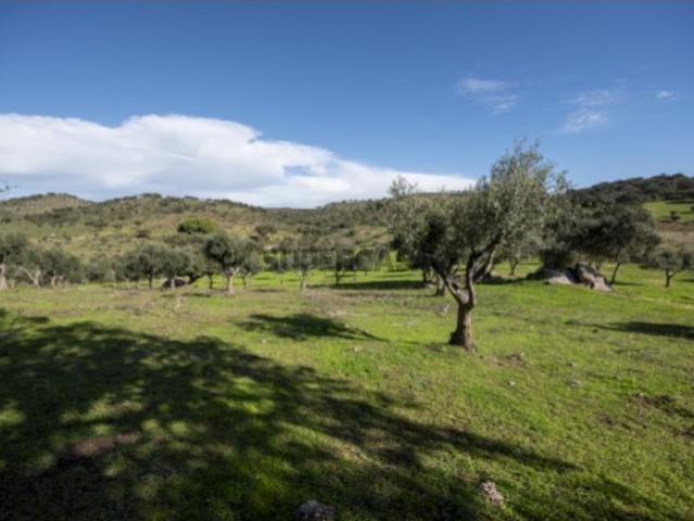 Casa venda em Vidigueira, Beja