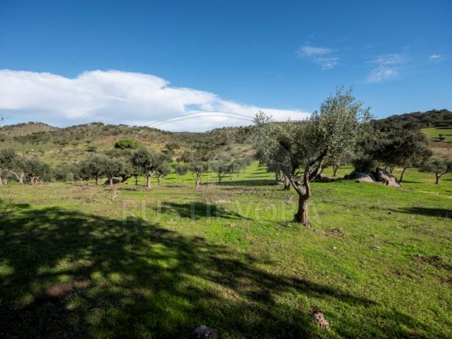 Quinta venda em Vidigueira, Beja
