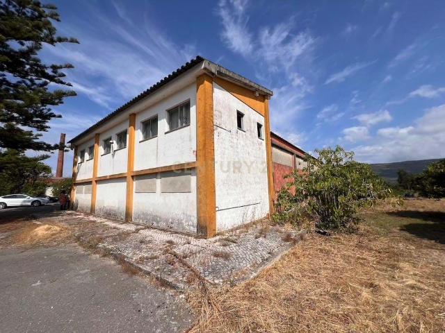 Loja venda em Juncal, Porto De Mós