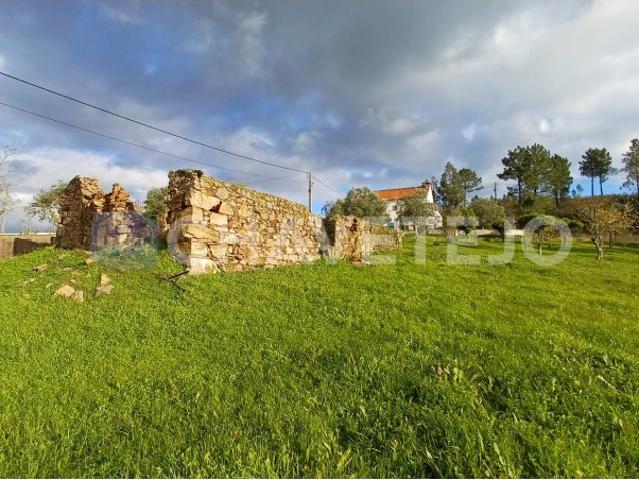 Casa venda em São Pedro De Tomar, Cartaxa