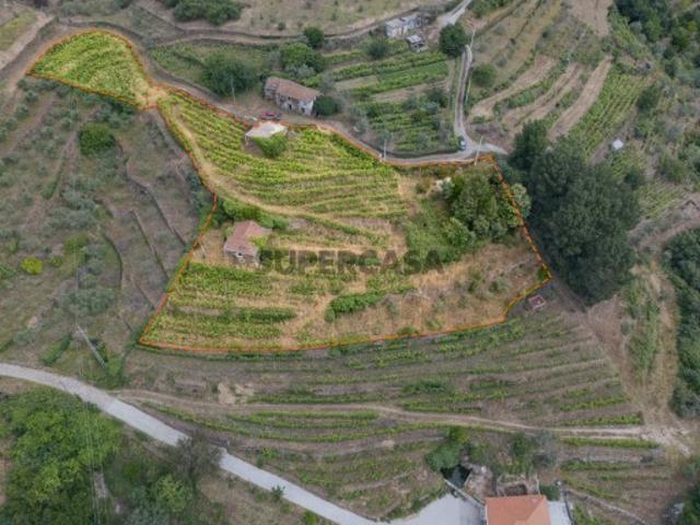 Terreno venda em Vila Real