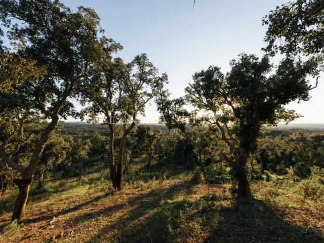 Terreno venda em Valinho, Santiago Do Cacém