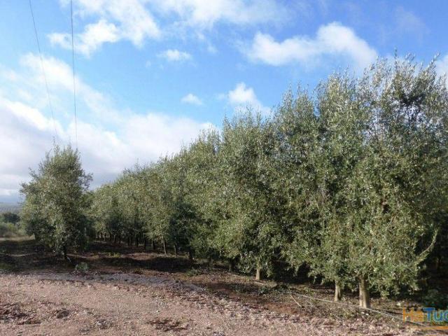 Quinta venda em Argeriz, Vila Real