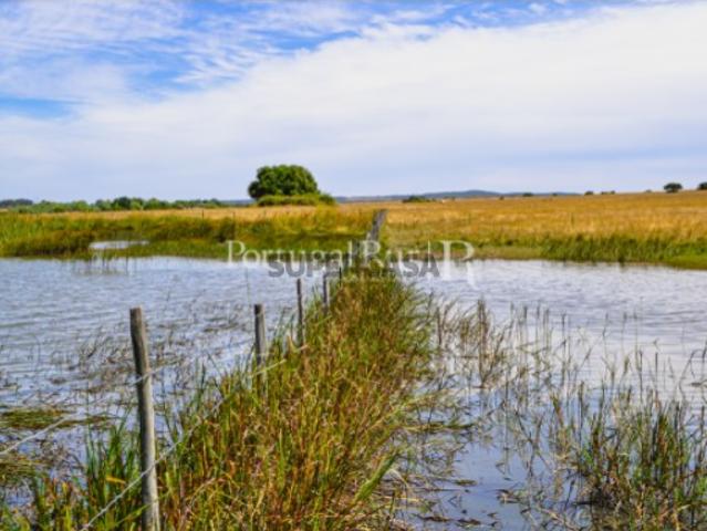 Terreno venda em Évora