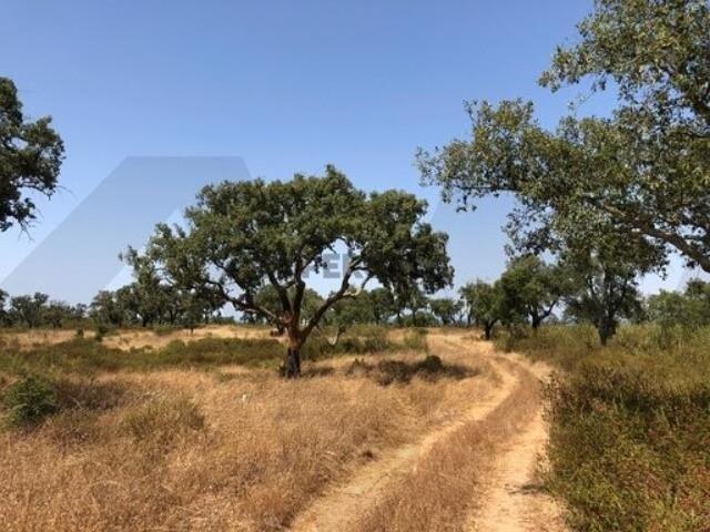 Terreno venda em Mosqueirões, Grândola
