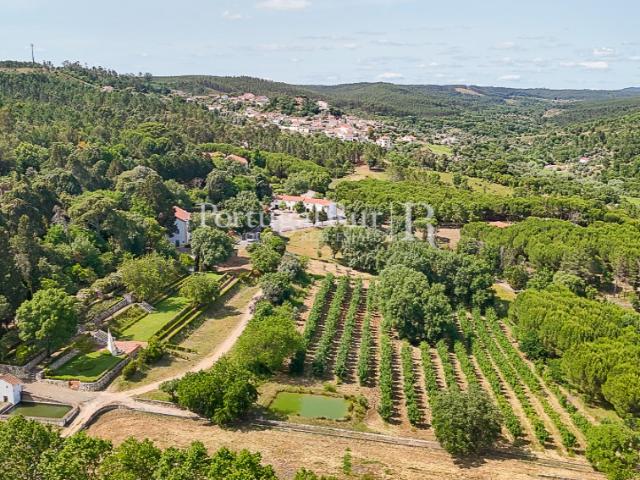 Quinta venda em Constância, Santarém