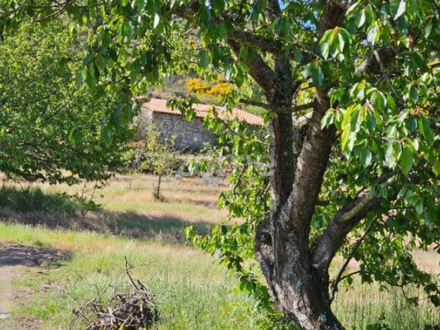 Terreno venda em Fiolhoso, Vila Real