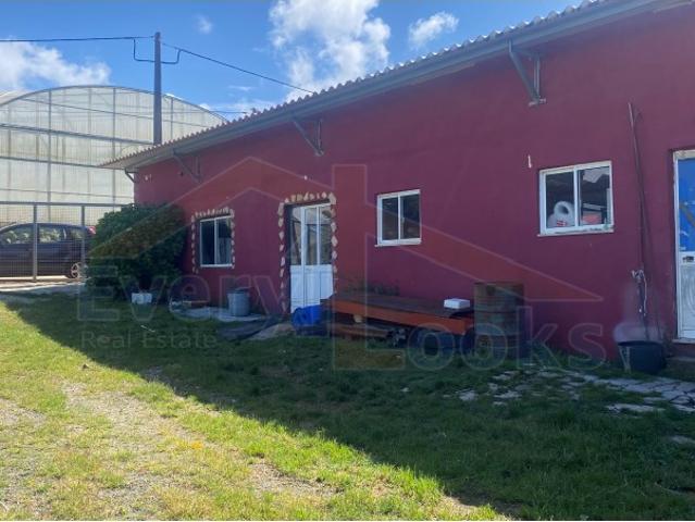 Terreno venda em Olho Marinho, Óbidos
