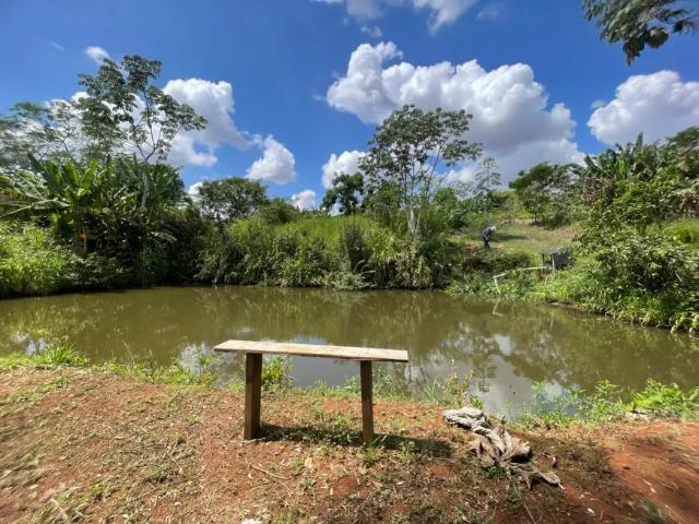 Fazenda venda em Região Geográfica Imediata de Maringá, Maringá