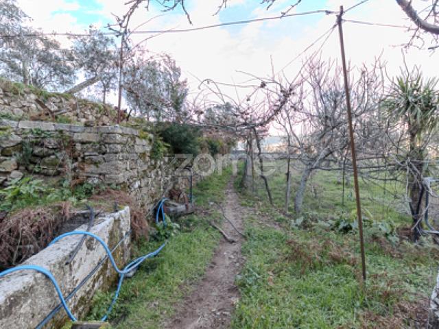 Quinta venda em Cinfães, Viseu