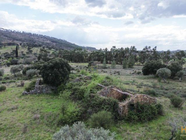 Quinta venda em Castelo Branco, Penamacor